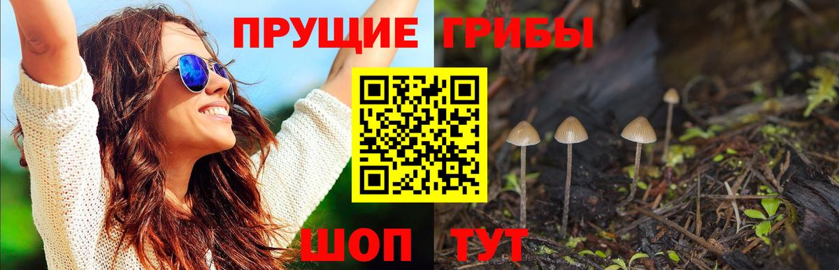 Казань  Галлюциногенные грибы Psilocybine cubensis  Вход с VPN  Галлюциногенные грибы Magic Shrooms 